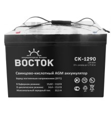 Аккумуляторная батарея ВОСТОК PRO СК-1290