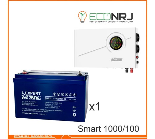 ИБП Powerman Smart 1000 INV + Аккумуляторная батарея ETALON AHRX 12-100 GL