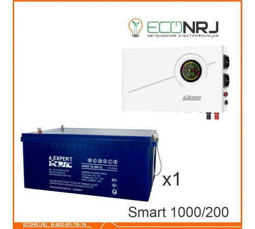 ИБП Powerman Smart 1000 INV + Аккумуляторная батарея ETALON AHRX 12-200 GL