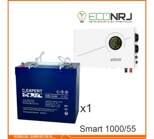 ИБП Powerman Smart 1000 INV + Аккумуляторная батарея ETALON CHRL 12-55