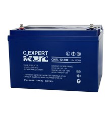 Аккумуляторная батарея ETALON CHRL 12-100