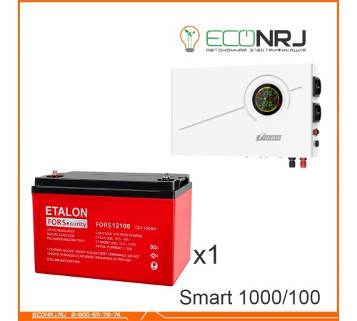 ИБП Powerman Smart 1000 INV + Аккумуляторная батарея ETALON FORS 12100