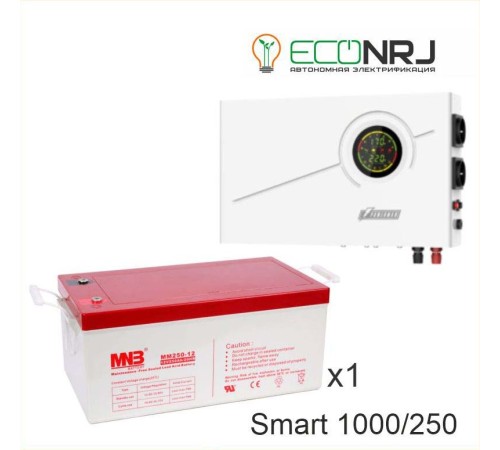 ИБП Powerman Smart 1000 INV + Аккумуляторная батарея MNB MМ250-12