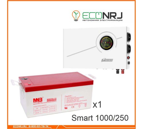 ИБП Powerman Smart 1000 INV + Аккумуляторная батарея MNB MМ250-12