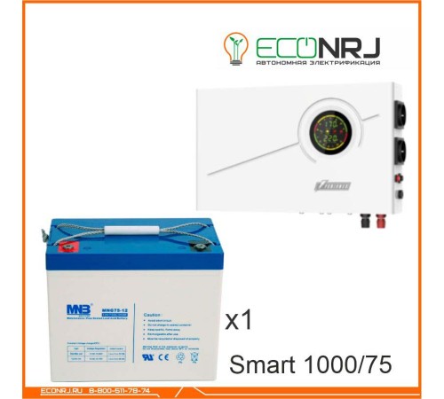 ИБП Powerman Smart 1000 INV + Аккумуляторная батарея MNB MNG75-12