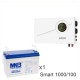 ИБП Powerman Smart 1000 INV + Аккумуляторная батарея MNB MNG100-12