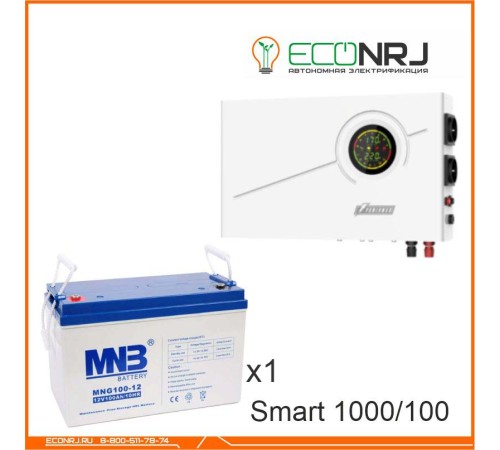 ИБП Powerman Smart 1000 INV + Аккумуляторная батарея MNB MNG100-12