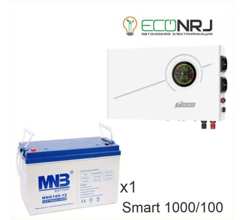 ИБП Powerman Smart 1000 INV + Аккумуляторная батарея MNB MNG100-12