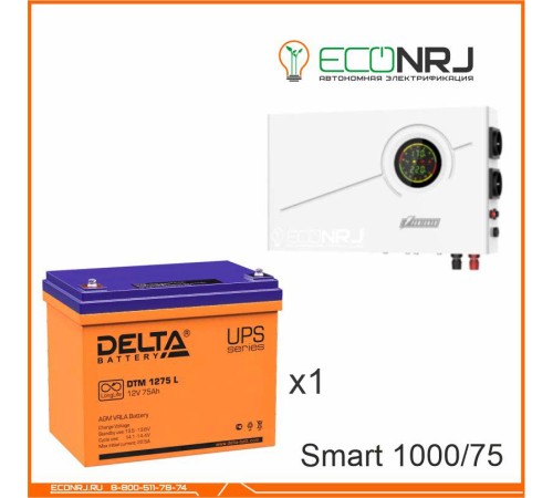 ИБП Powerman Smart 1000 INV + Аккумуляторная батарея Delta DTM 1275 L