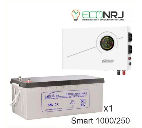 ИБП Powerman Smart 1000 INV + Аккумуляторная батарея LEOCH DJM12250