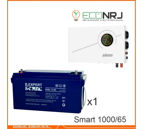 ИБП Powerman Smart 1000 INV + Аккумуляторная батарея ETALON BHRL 12-65