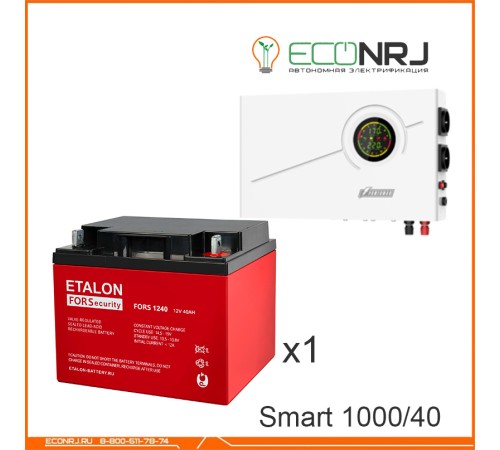 ИБП Powerman Smart 1000 INV + Аккумуляторная батарея ETALON FORS 1240