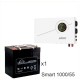 ИБП Powerman Smart 1000 INV + Аккумуляторная батарея LEOCH DJM1255