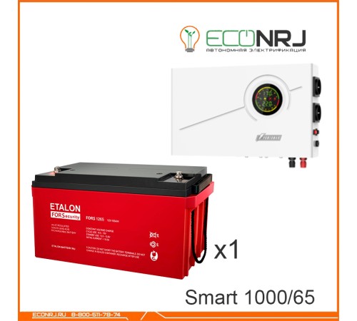 ИБП Powerman Smart 1000 INV + Аккумуляторная батарея ETALON FORS 1265