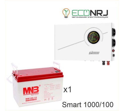 ИБП Powerman Smart 1000 INV + Аккумуляторная батарея MNB MМ100-12