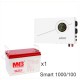 ИБП Powerman Smart 1000 INV + Аккумуляторная батарея MNB MМ100-12