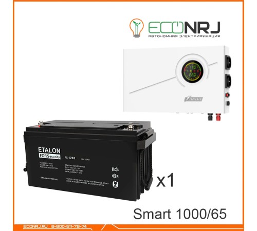 ИБП Powerman Smart 1000 INV + Аккумуляторная батарея ETALON FS 1265