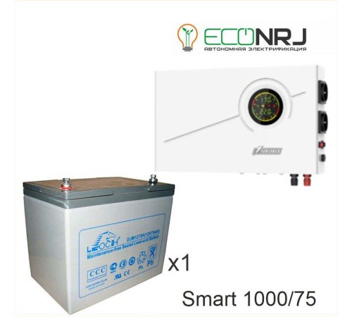 ИБП Powerman Smart 1000 INV + Аккумуляторная батарея LEOCH DJM1275