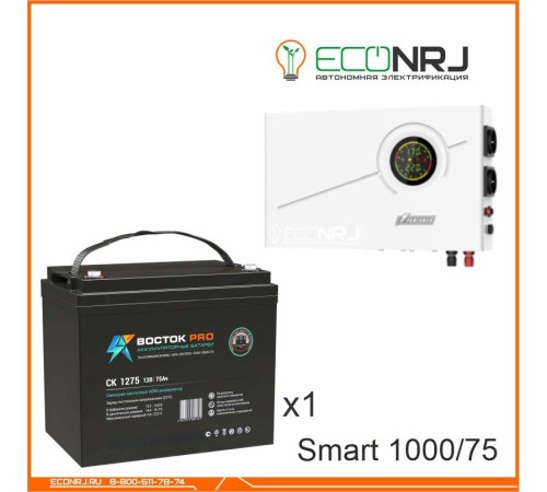 ИБП Powerman Smart 1000 INV + Аккумуляторная батарея ВОСТОК PRO СК-1275