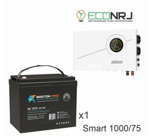 ИБП Powerman Smart 1000 INV + Аккумуляторная батарея ВОСТОК PRO СК-1275